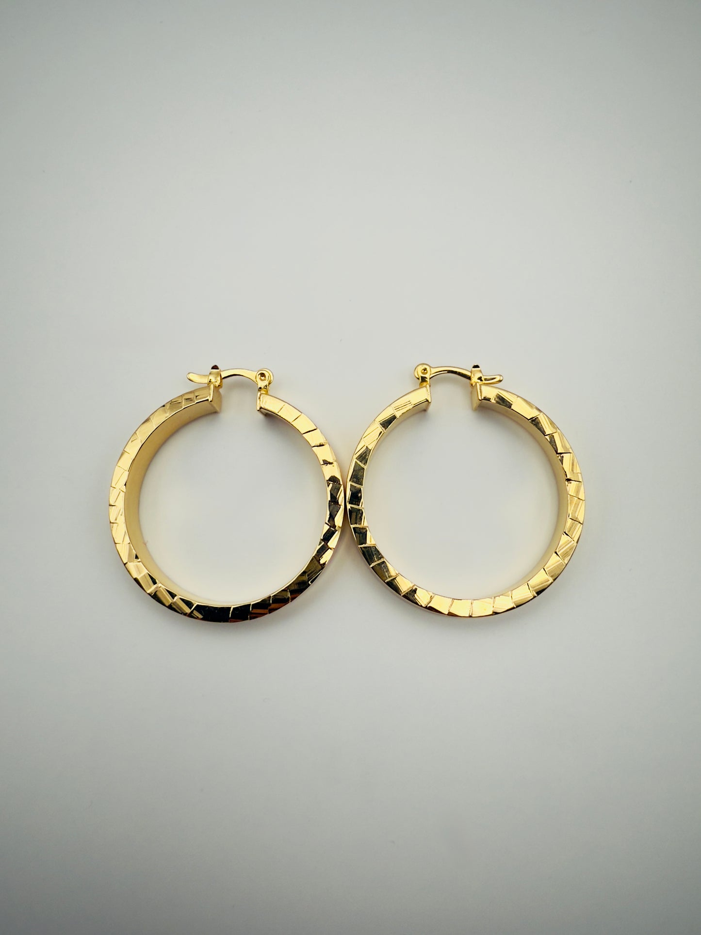 Faceted Hoop Earrings